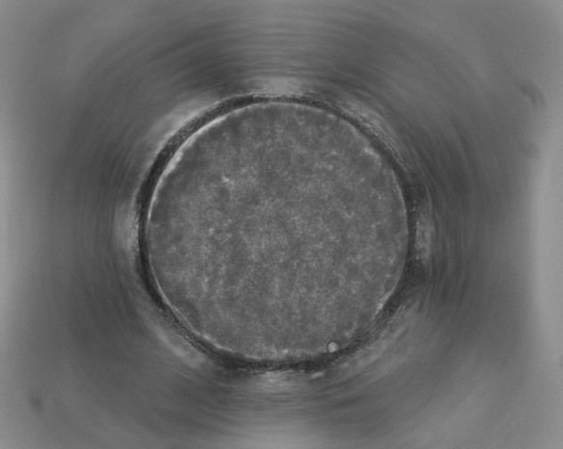 X0000112820584200910021204