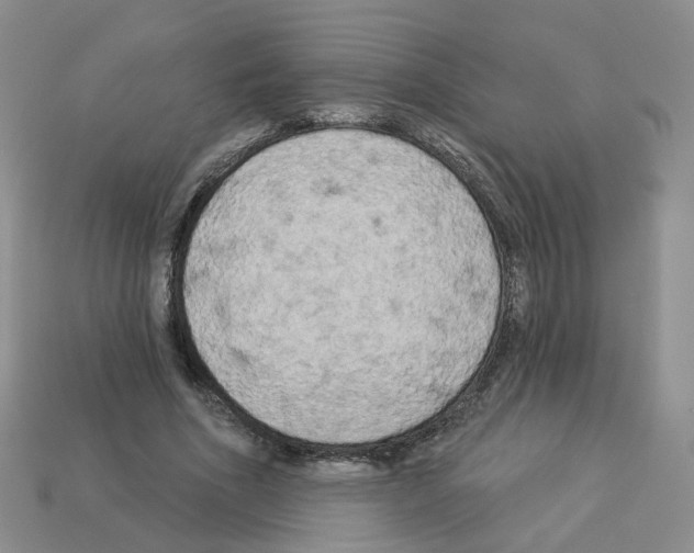 X0000112820586200910021204