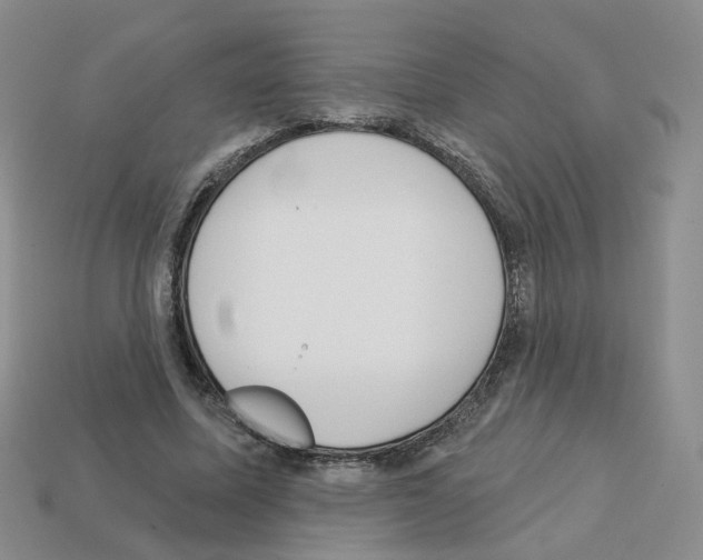 X0000112820587200910021204