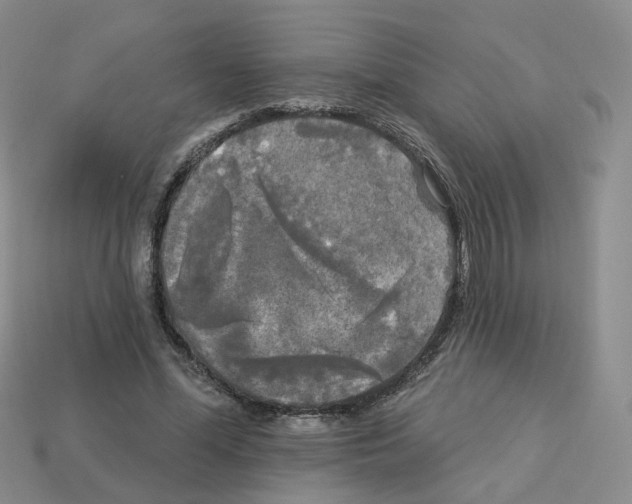 X0000112820588200910021204