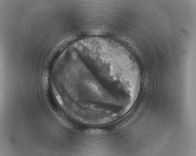 X0000112820590200910021204