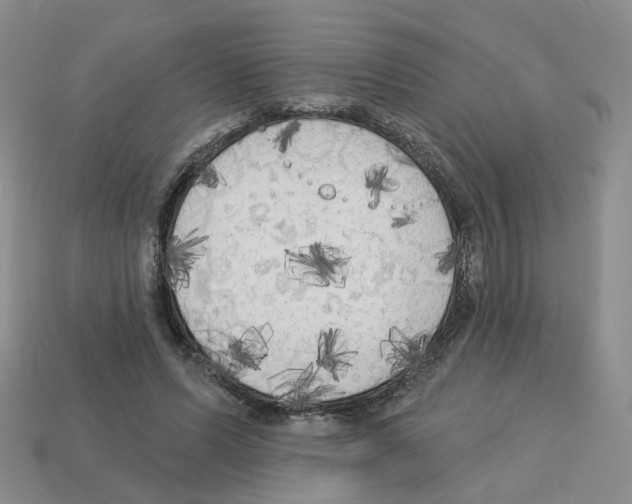 X0000112820591200910021204