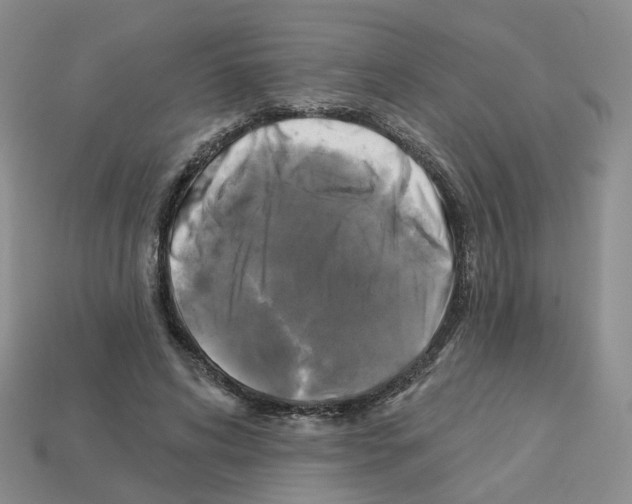 X0000112820592200910021204