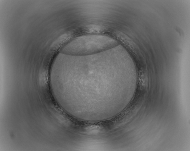 X0000112820593200910021204