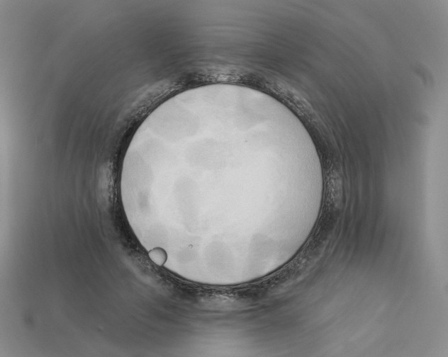 X0000112820594200910021204