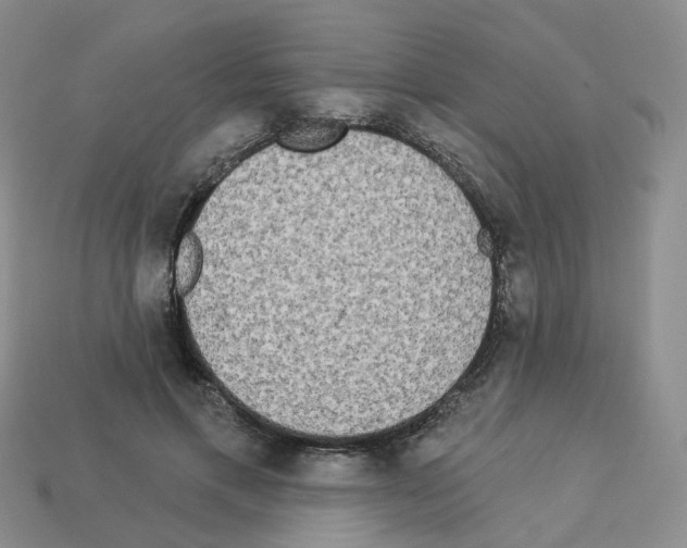 X0000112820597200910021204