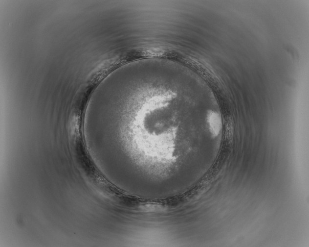 X0000112820598200910021204