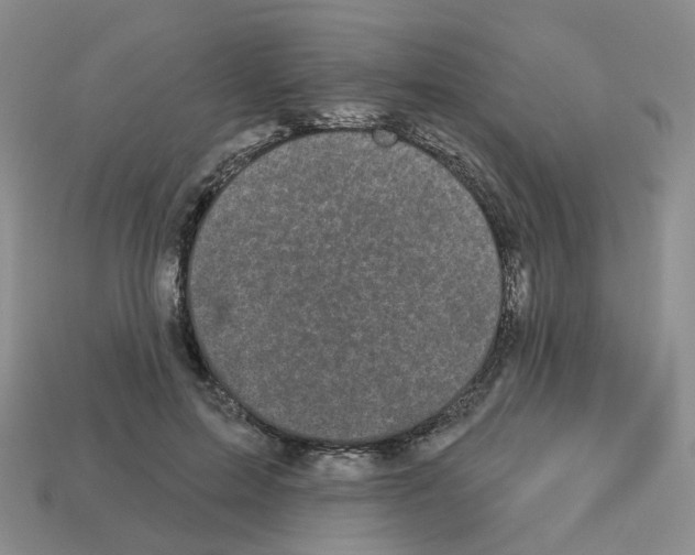 X0000112820599200910021204