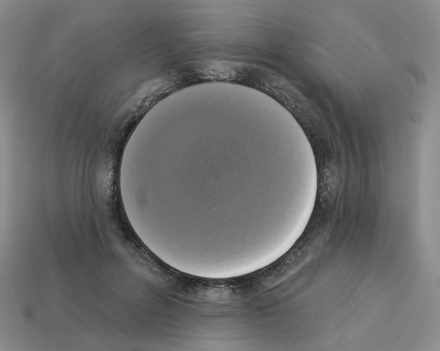 X0000112820600200910021204