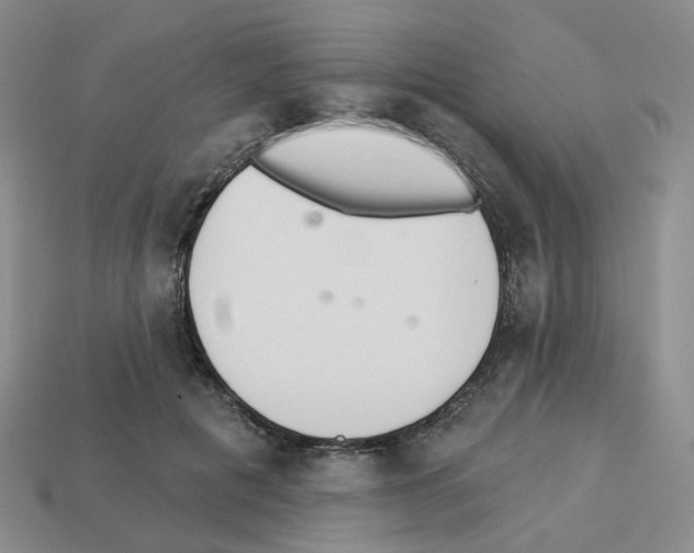 X0000112820601200910021204