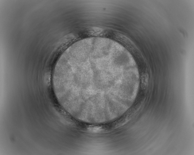 X0000112820602200910021204