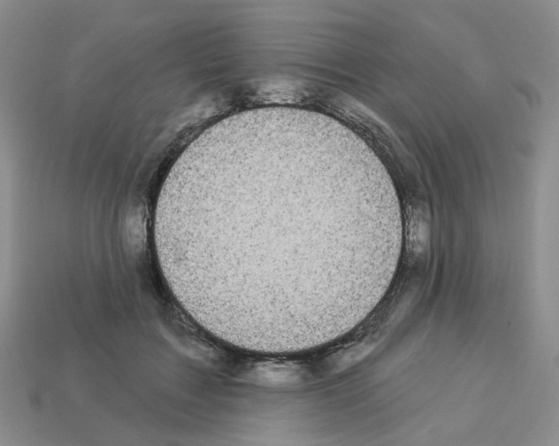 X0000112820603200910021204