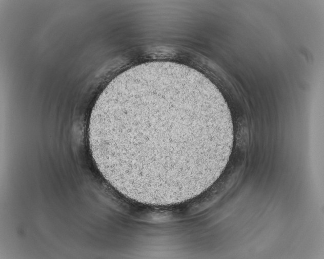 X0000112820604200910021204