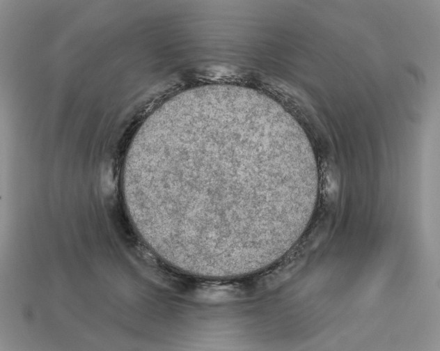 X0000112820607200910021204