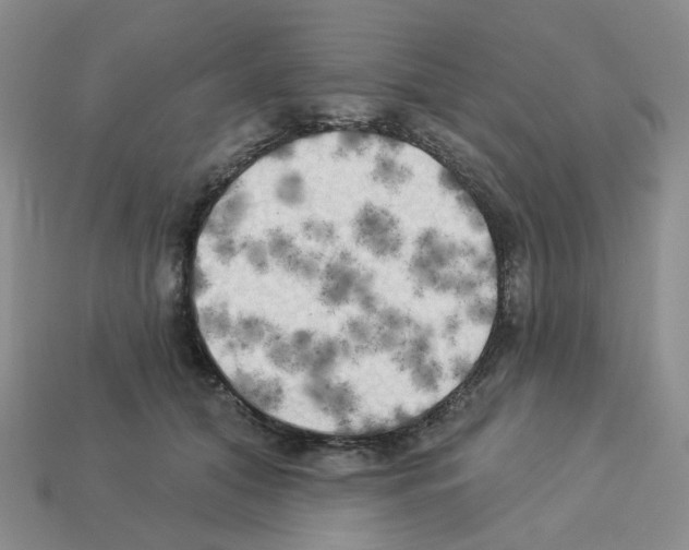 X0000112820608200910021204