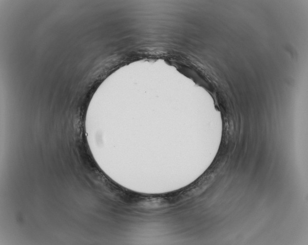 X0000112820609200910021204