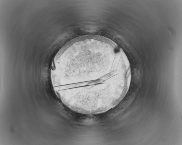 X0000112820612200910021204