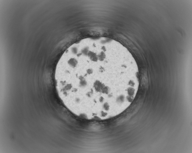 X0000112820616200910021203