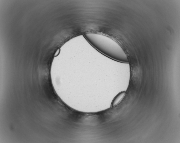 X0000112820617200910021203