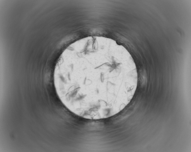 X0000112820619200910021203