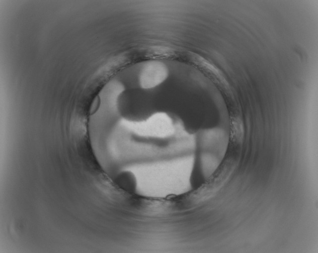 X0000112820621200910021203