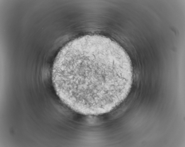 X0000112820623200910021203