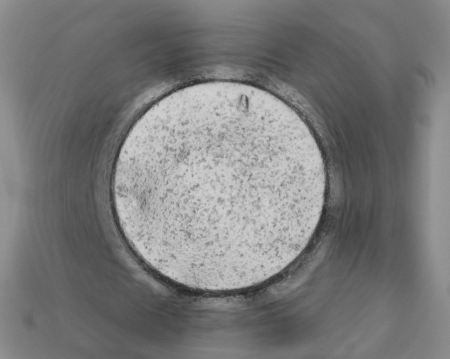 X0000112820625200910021203