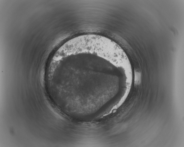 X0000112820627200910021203