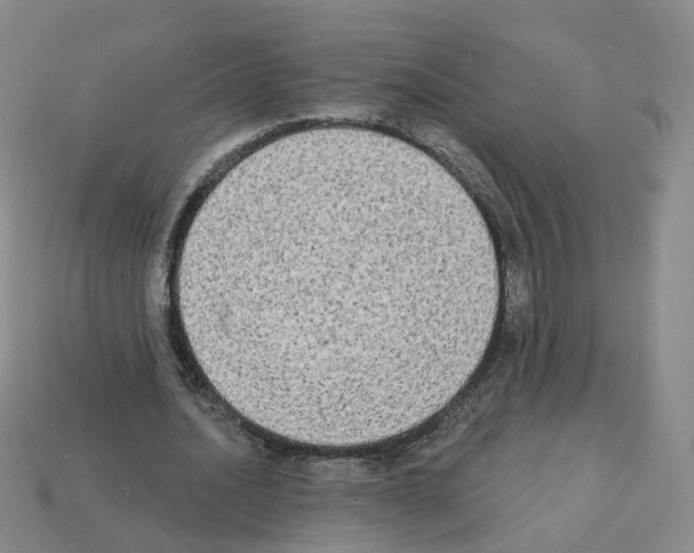 X0000112820628200910021203