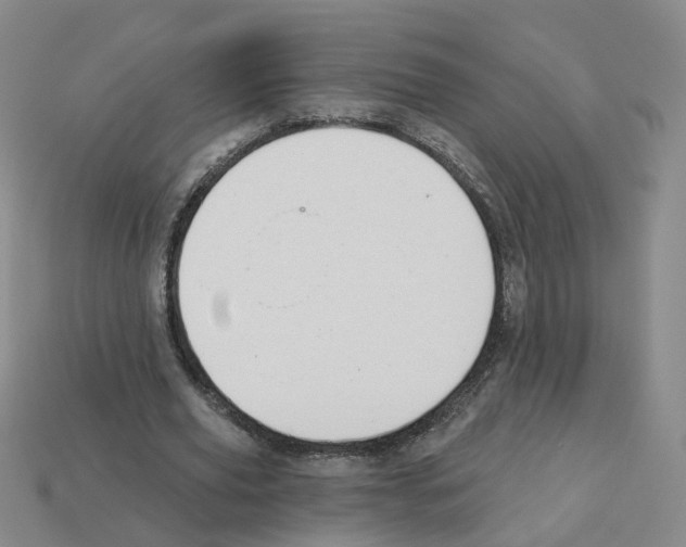 X0000112820629200910021203