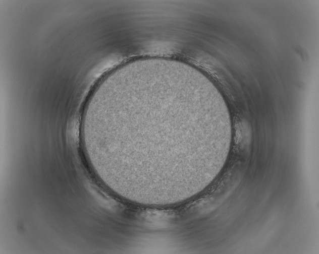 X0000112820632200910021203