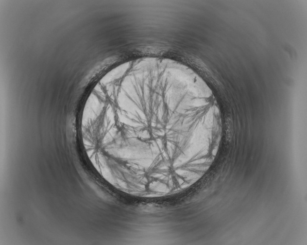 X0000112820634200910021203