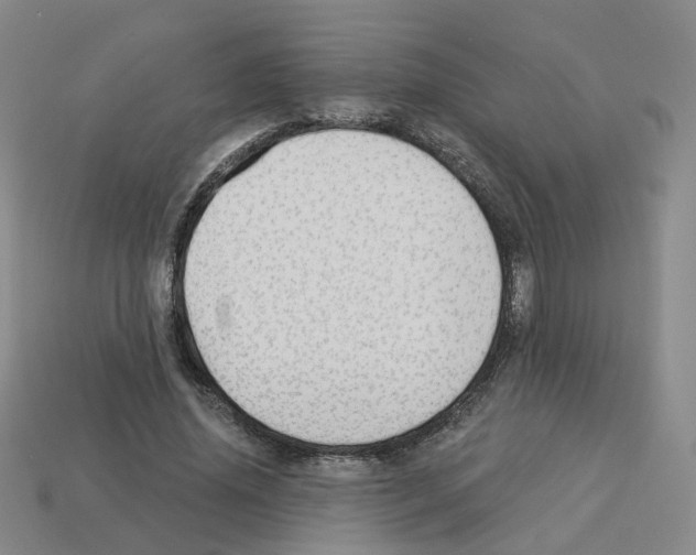 X0000112820636200910021203