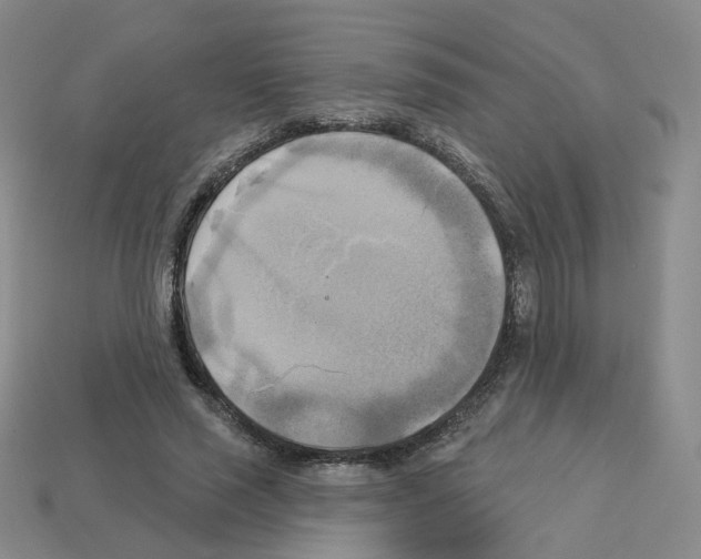 X0000112820637200910021203