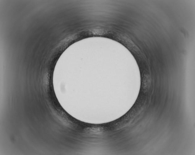 X0000112820639200910021203