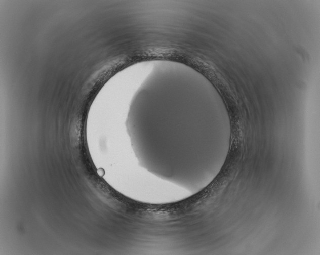 X0000112820640200910021203