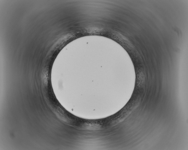 X0000112820644200910021203