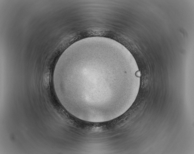 X0000112820647200910021203