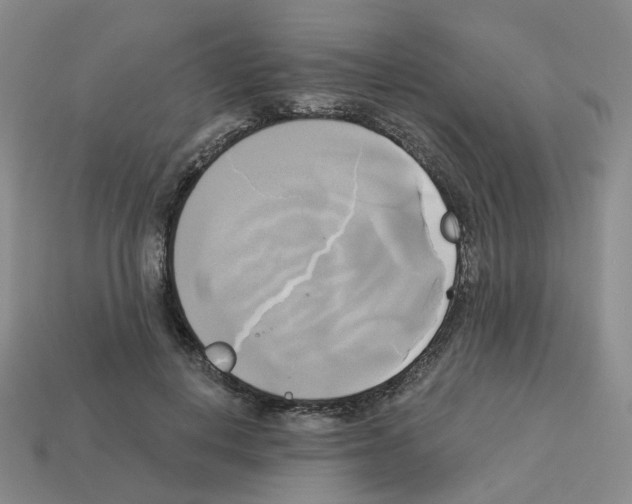 X0000112820648200910021203