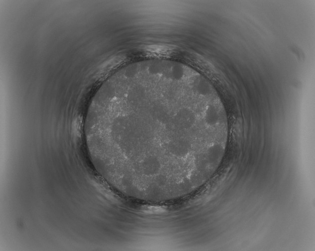 X0000112820649200910021203