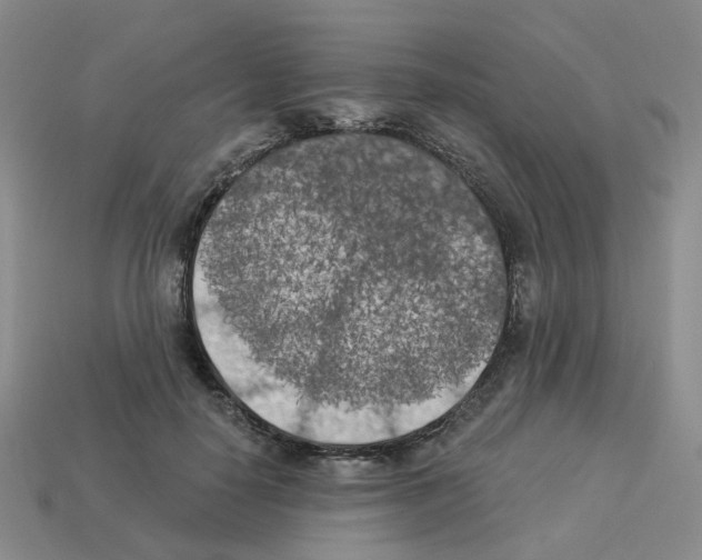 X0000112820650200910021203