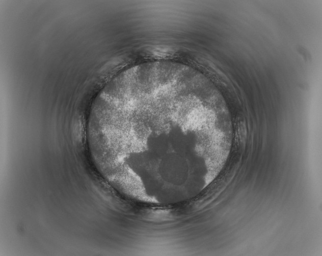 X0000112820651200910021203