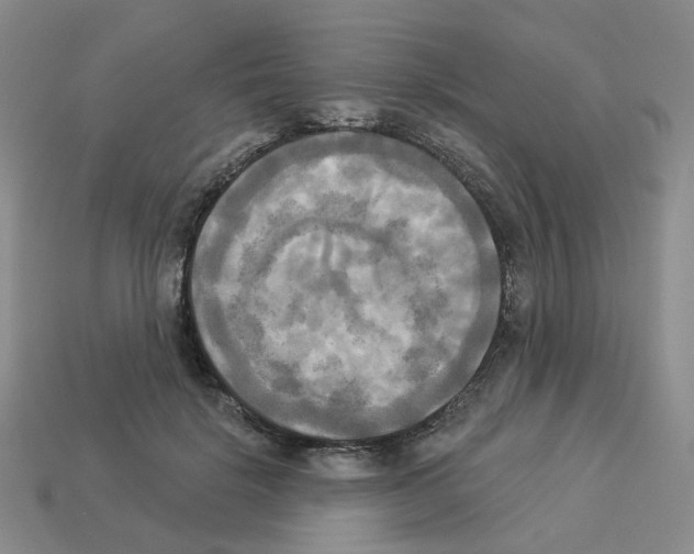 X0000112820652200910021203