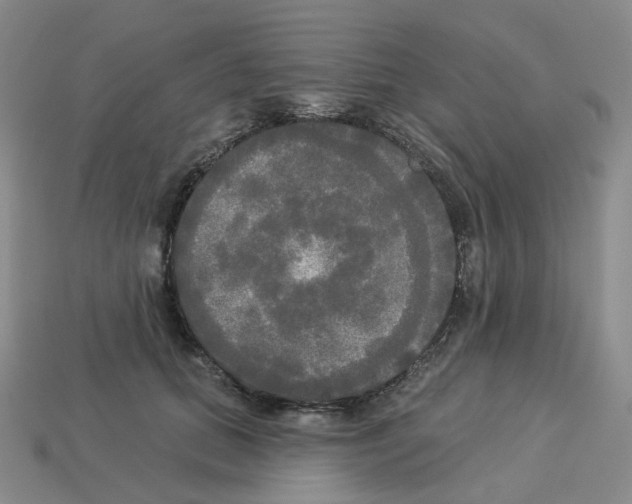 X0000112820655200910021203