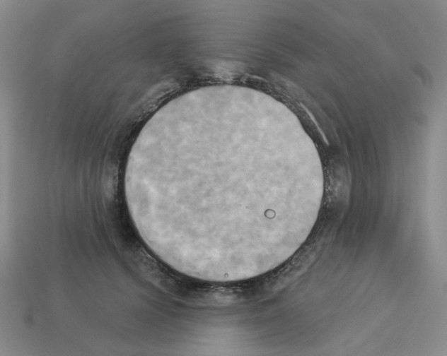 X0000112820656200910021203