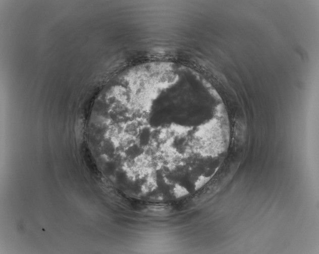 X0000112820659200910021203