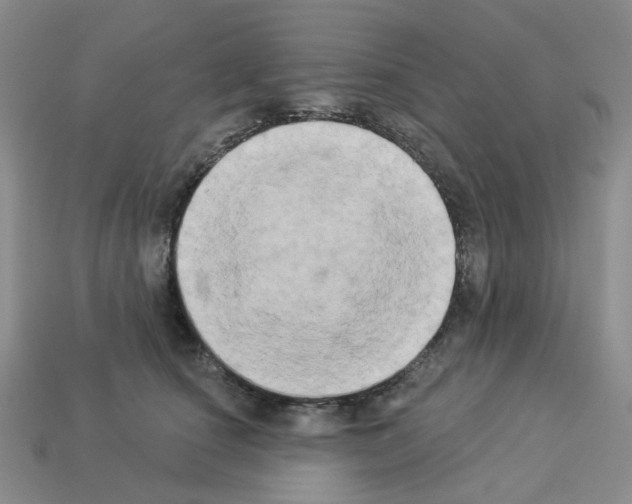 X0000112820660200910021203