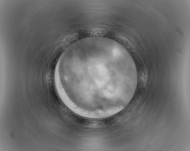 X0000112820663200910021203