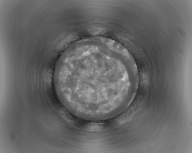 X0000112820664200910021203