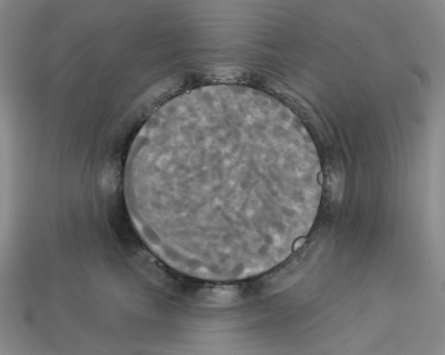 X0000112820665200910021203